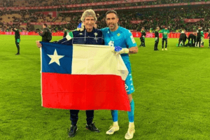 pelle bravo