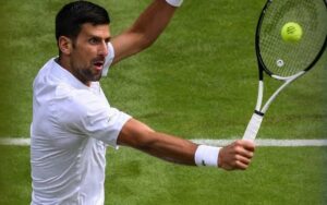djokovic nov