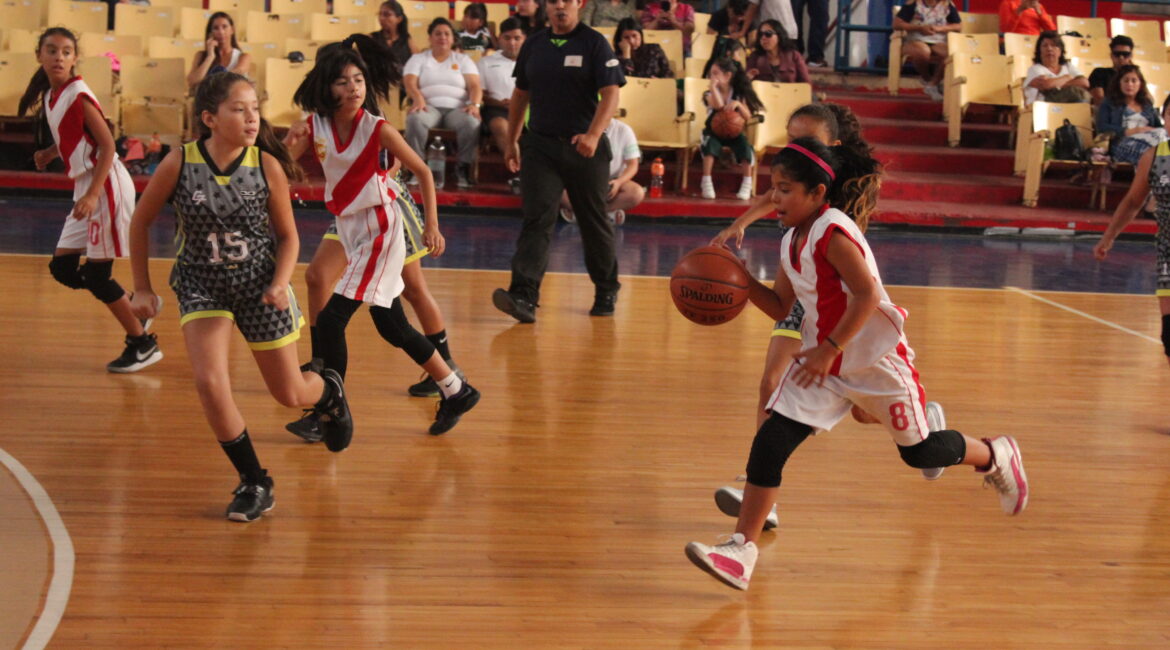 FIBA premia a Chile por su proyecto sobre el Mini basquetbol – Mi Sur ...