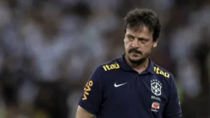 fernando-diniz_862x485