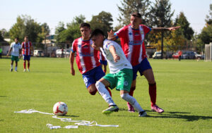 linares