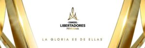 libfem