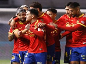union-espa__ola_celebracion_nacional_2025_IG-UE-600x450