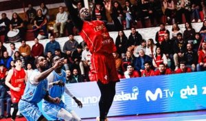 Leones-820x480