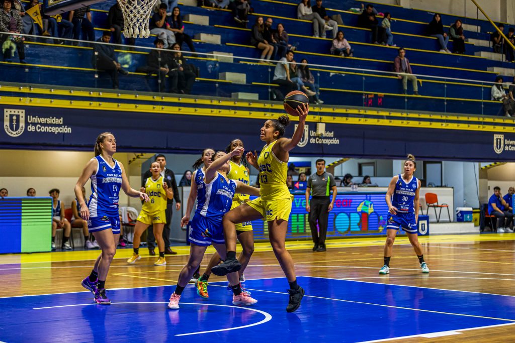 udec-bask-fem-generico-1-1024x683