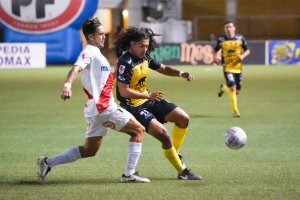 IMG_3660.JPG-1024x683