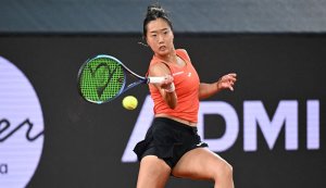 gettyimages-ann-li-linz-2