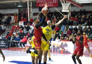 udec-leones-720x500