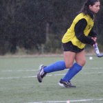 Tribu Fest reunirá a cerca de 300 jugadores de hockey de Chile y Argentina en Puerto Varas