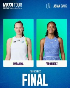 finalbnih